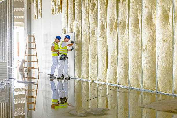 Insulation Replacement Services in Snyderville, UT